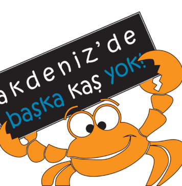 “Akdeniz’de Başka Kaş Yok!” Deniz Şenliği akdenizde-baska-kas-yok