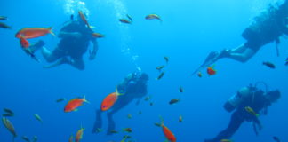 Dalış ile İlgili Bilinmesi Gerekenler