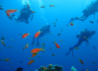 Dalış ile İlgili Bilinmesi Gerekenler