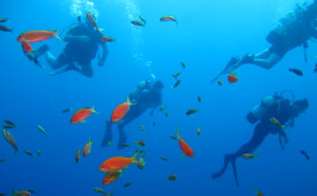 Dalış ile İlgili Bilinmesi Gerekenler