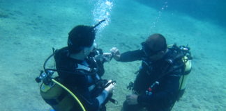 Bir Dalgıçın İlk Günü