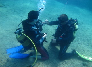 Bir Dalgıçın İlk Günü