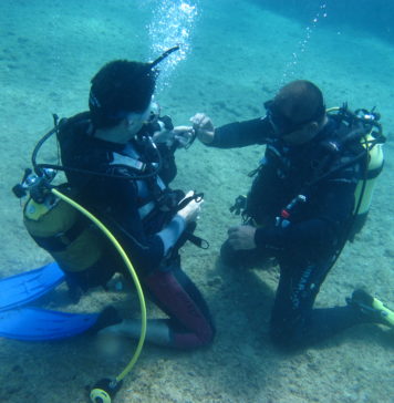 Bir Dalgıçın İlk Günü