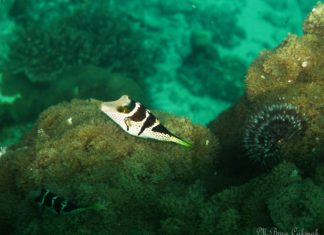 Böyle Çok Daha Güzelsin