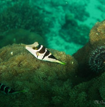Böyle Çok Daha Güzelsin
