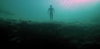 Serbest Düşüş – Free Fall