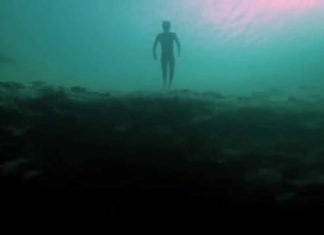 Serbest Düşüş – Free Fall