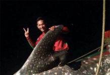 Kamboçya’da Yetkililer Balina Köpekbalığı Yakalanmasını Araştırıyor