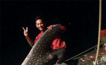 Kamboçya’da Yetkililer Balina Köpekbalığı Yakalanmasını Araştırıyor