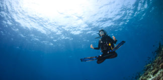 Durumsal Farkındalık Ve Dalış