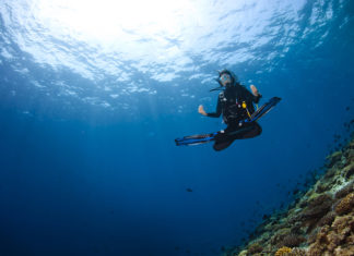 Durumsal Farkındalık Ve Dalış