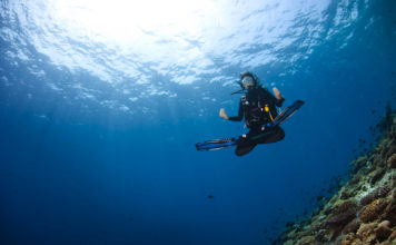 Durumsal Farkındalık Ve Dalış