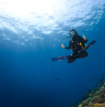 Durumsal Farkındalık Ve Dalış