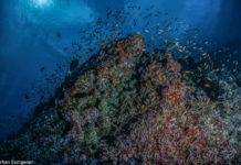 22 Mart Dünya Su Günü