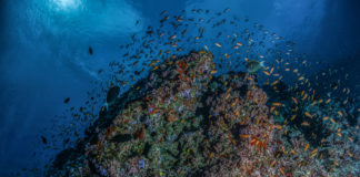 22 Mart Dünya Su Günü