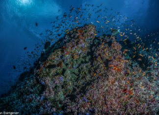 22 Mart Dünya Su Günü