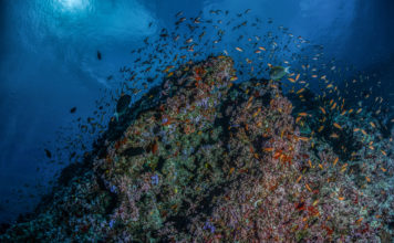 22 Mart Dünya Su Günü