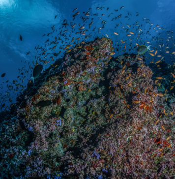 22 Mart Dünya Su Günü