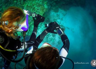 Neden Dalış Bilgisayarınızın Kullanım Kılavuzunu Okumalısınız?