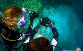 Neden Dalış Bilgisayarınızın Kullanım Kılavuzunu Okumalısınız?