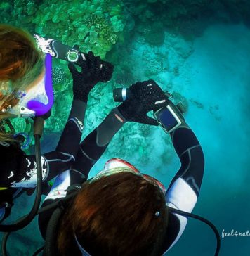 Neden Dalış Bilgisayarınızın Kullanım Kılavuzunu Okumalısınız?