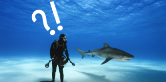 Karar Verme Mekanizması ve DECIDE Modeli