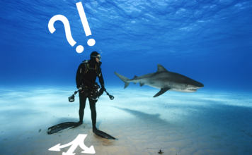 Karar Verme Mekanizması ve DECIDE Modeli