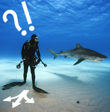 Karar Verme Mekanizması ve DECIDE Modeli