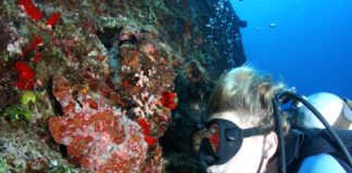 Nitrojen Narkozu : Derinlik Sarhoşluğu