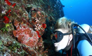 Nitrojen Narkozu : Derinlik Sarhoşluğu