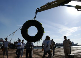 Denizlerimizde Katı Atık Kirliliği Üzerine