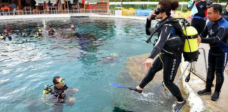 Sakarya Nehri’ne Anlamlı Dalış