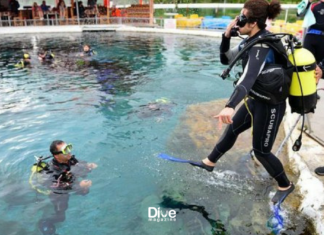 Sakarya Nehri’ne Anlamlı Dalış