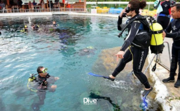 Sakarya Nehri’ne Anlamlı Dalış