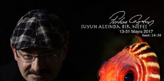 Ferhan Coşkun – Suyun Altında Bir Nefes Sergisi