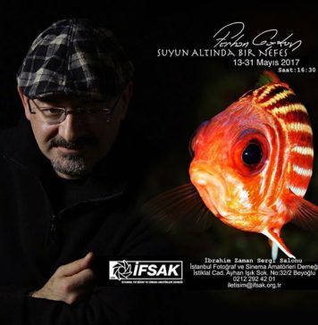 Ferhan Coşkun – Suyun Altında Bir Nefes Sergisi