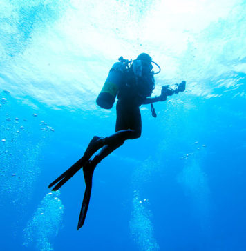 Dalış Kazaları ve Kazalardan Korunmanın 7 Yolu