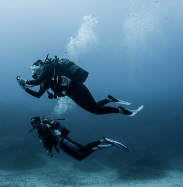 Dalışta Eğitimin Önemi