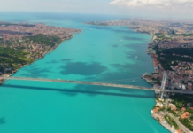 Denizlerin Turkuaz Renginin Sırrı; Fitoplanktonlar