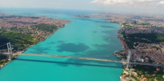 Denizlerin Turkuaz Renginin Sırrı; Fitoplanktonlar