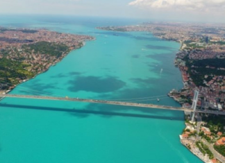 Denizlerin Turkuaz Renginin Sırrı; Fitoplanktonlar