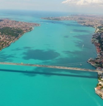 Denizlerin Turkuaz Renginin Sırrı; Fitoplanktonlar