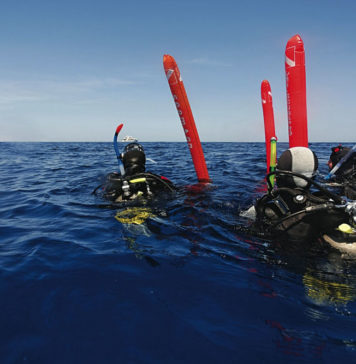 Dalış Grubunuzu Kaybetmek, Kaybolmak