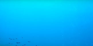 Sualtında ve Su Kaynaklarında Deprem Sinyalleri