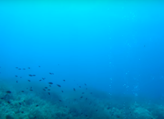 Sualtında ve Su Kaynaklarında Deprem Sinyalleri