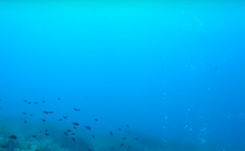 Sualtında ve Su Kaynaklarında Deprem Sinyalleri