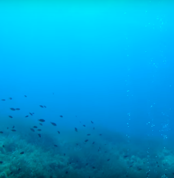 Sualtında ve Su Kaynaklarında Deprem Sinyalleri