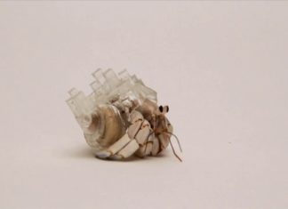 Aki Inomata Hermit Yengeçlerine Yeni Kabuklar Tasarlıyor