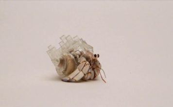 Aki Inomata Hermit Yengeçlerine Yeni Kabuklar Tasarlıyor