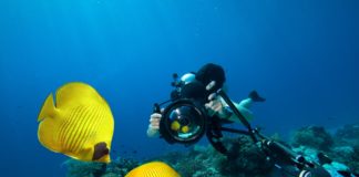 Sualtında Güvenli Fotoğraf Çekimleri için İpuçları sualti-fotografciligi-guvenlik